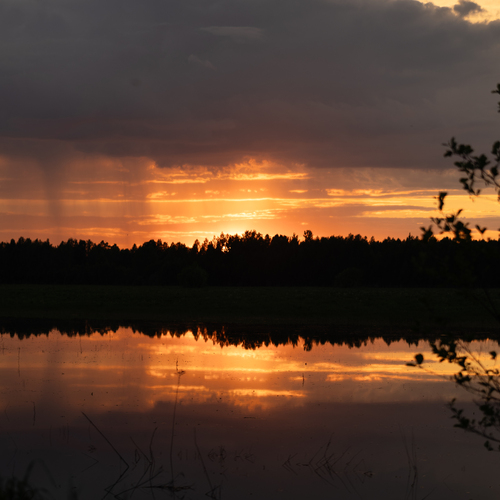 Photo #14033571