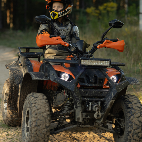 Photo #14033580