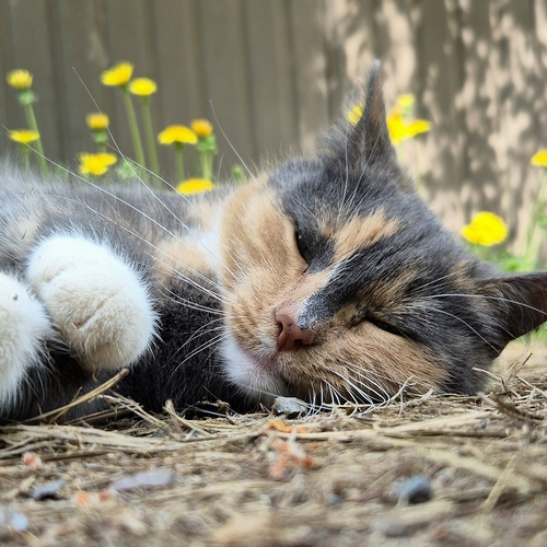 Photo #14033610