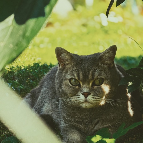 Photo #14033670
