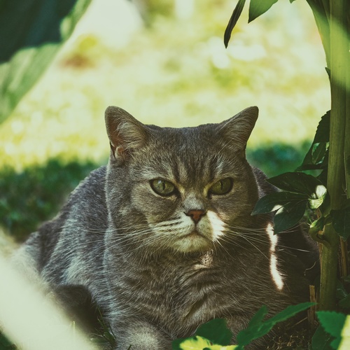 Photo #14033671