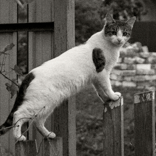 Photo #14033673