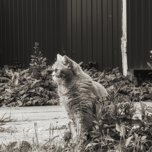 Photo #14033690