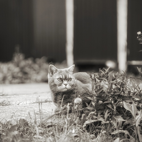 Photo #14033691