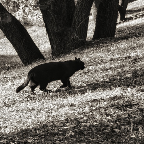 Photo #14033692