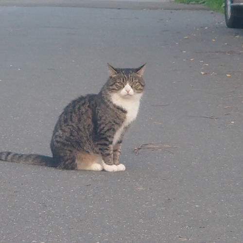 Photo #14033761