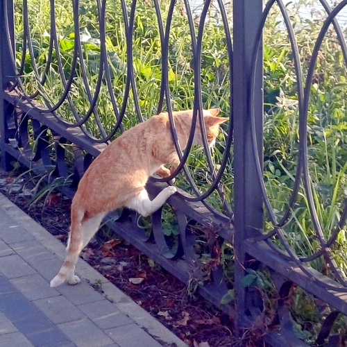 Photo #14033780