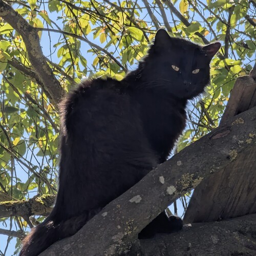Photo #14033824