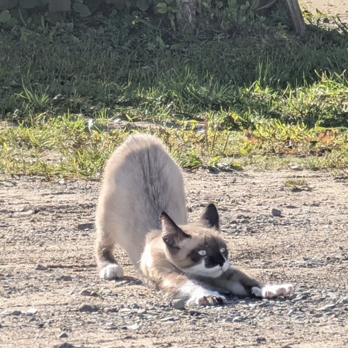 Photo #14033825