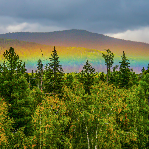 Photo #14033845