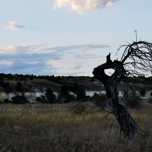 Photo #14033861