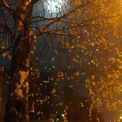 Photo #14034013
