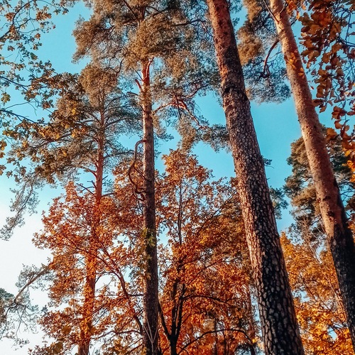Photo #14034026