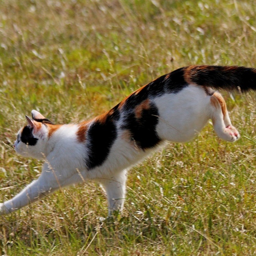 Photo #14034033