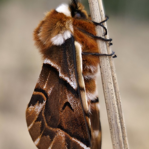 Photo #14034036