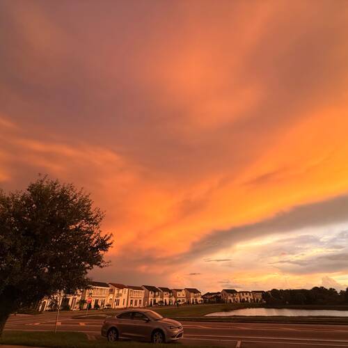 Photo #14034108