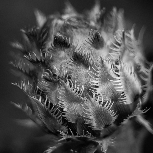 Photo #14034118