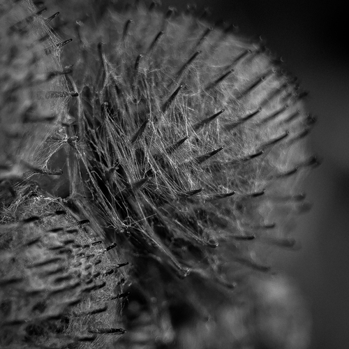 Photo #14034137