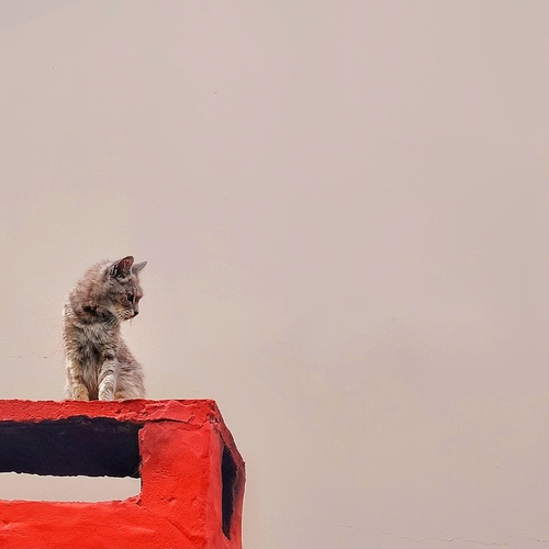 Photo #14034146