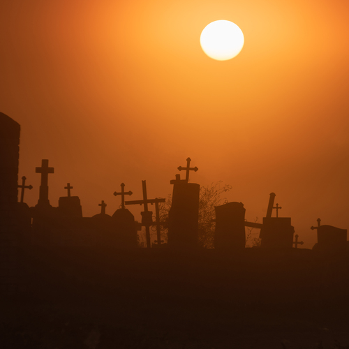 Photo #14034153