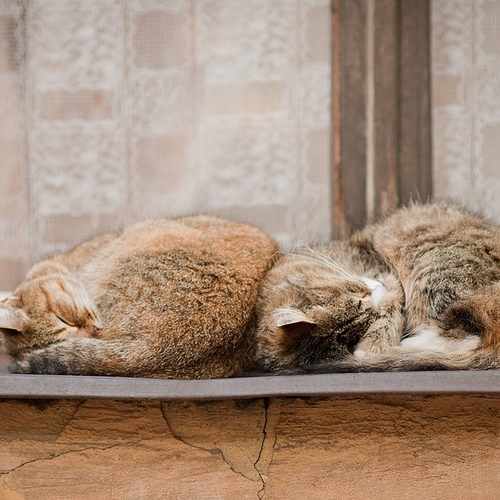 Photo #14034164