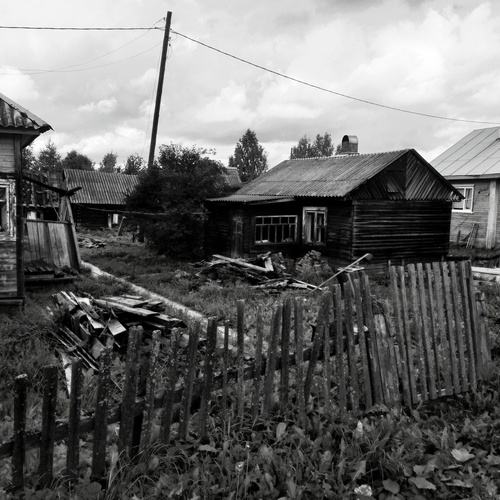 Photo #14034205