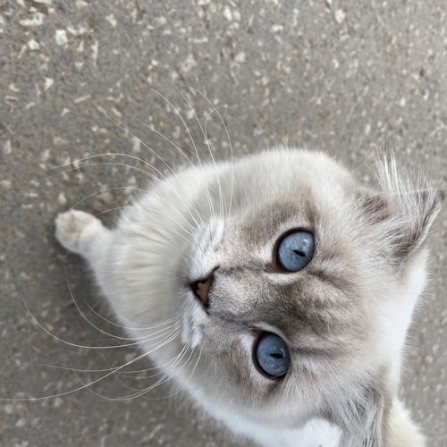 Photo #14034241