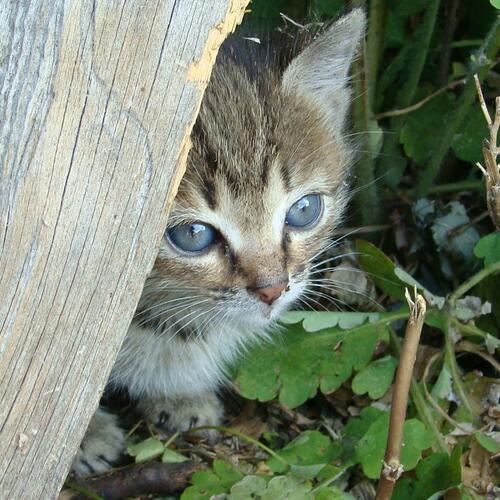 Photo #14034246