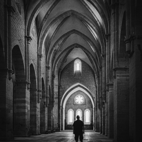 Photo #14034294