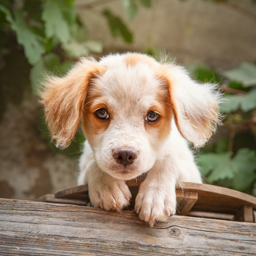 Photo #14034353