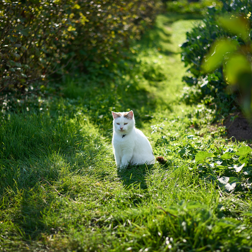 Photo #14034376