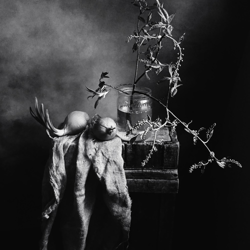 Photo #14034391