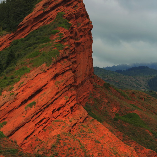 Photo #14034410
