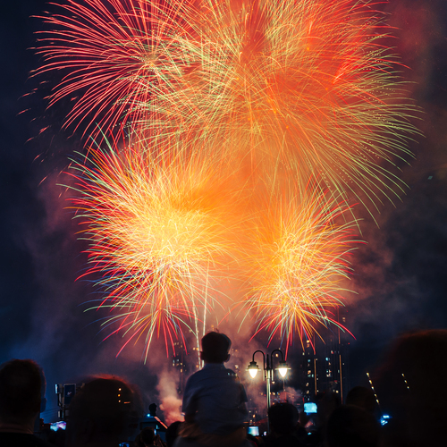 Photo #14034424
