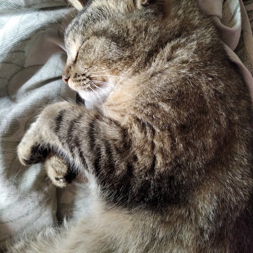 Photo #14034443