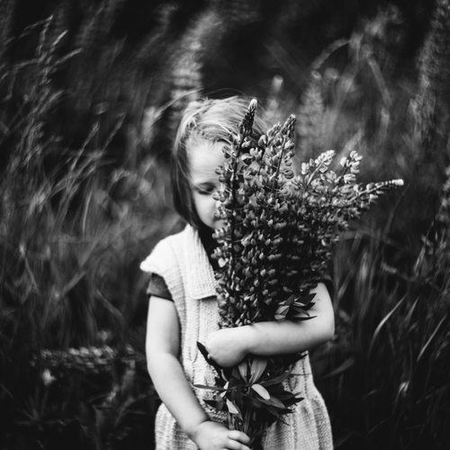 Photo #14034450