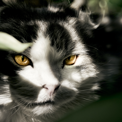 Photo #14034453