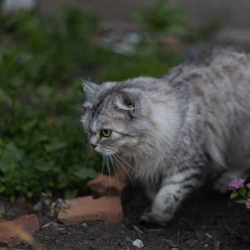 Photo #14034465