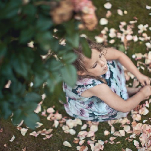 Photo #14034515