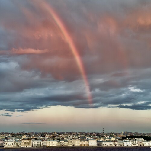 Photo #14034536