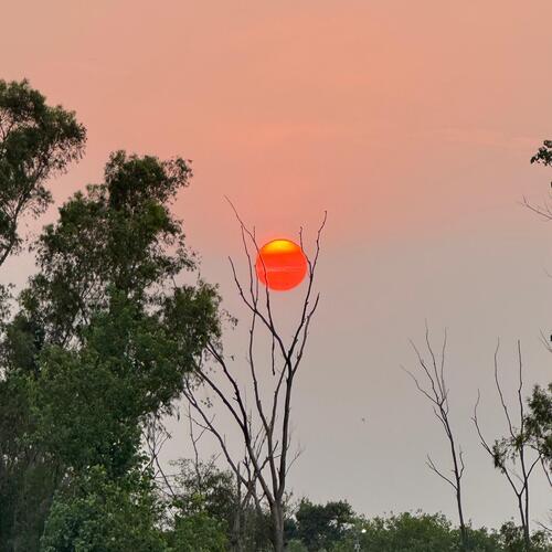 Photo #14034555