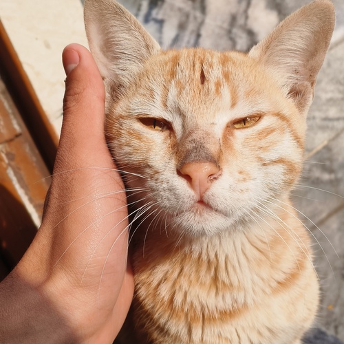 Photo #14034624
