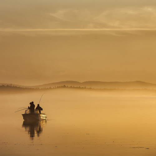 Photo #14034637