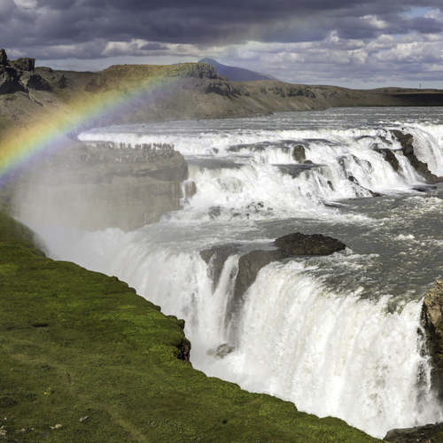 Photo #14034658