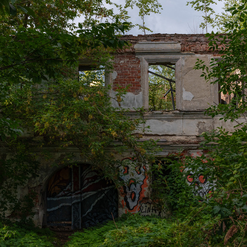 Photo #14034671