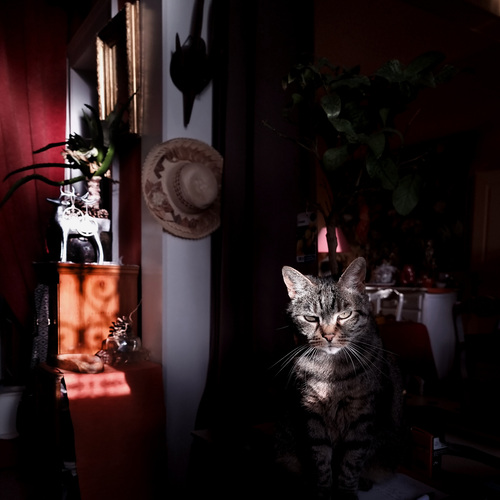Photo #14034676
