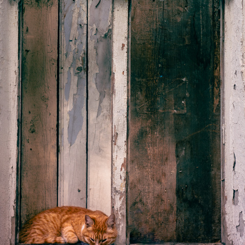 Photo #14034683