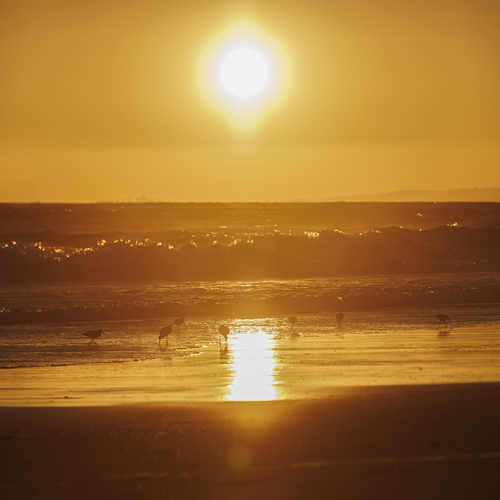 Photo #14034730