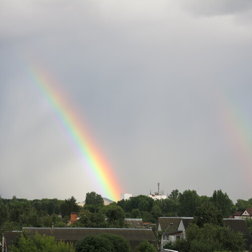 Photo #14034747