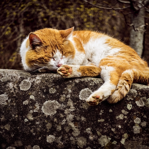 Photo #14034759